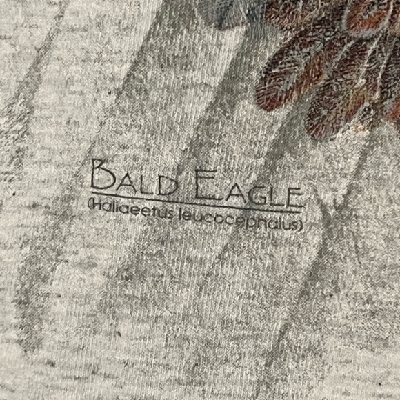 Vintage 90's Hazelwoods Size Large T Shirt Bald Eagle Made In USA Gray (G) - Picture 7 of 15